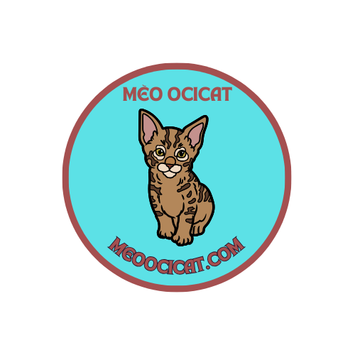 Mèo Ocicat